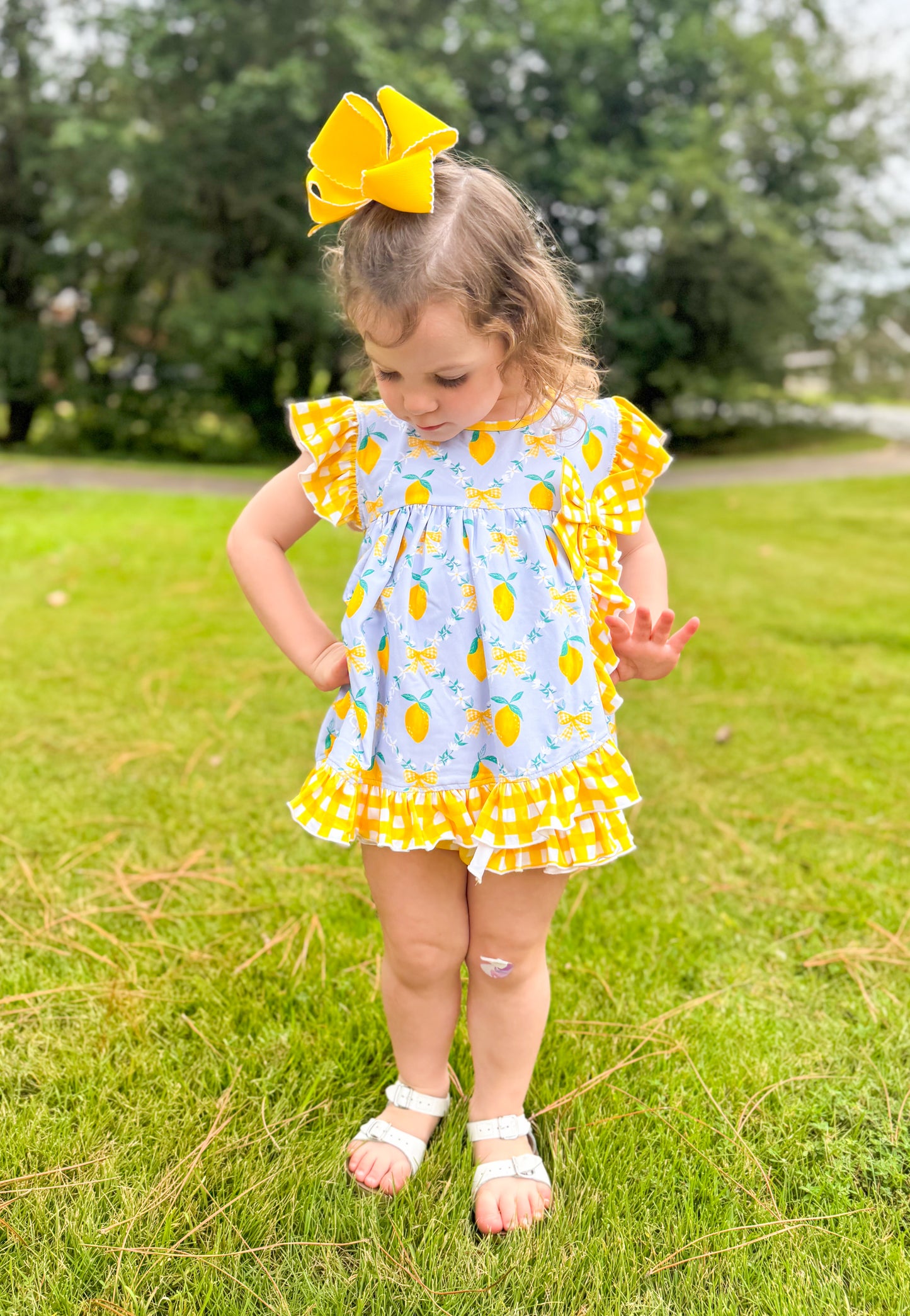 Grand Millennial Lemon Trellis - Shirley’s Ruffles Diaper Set