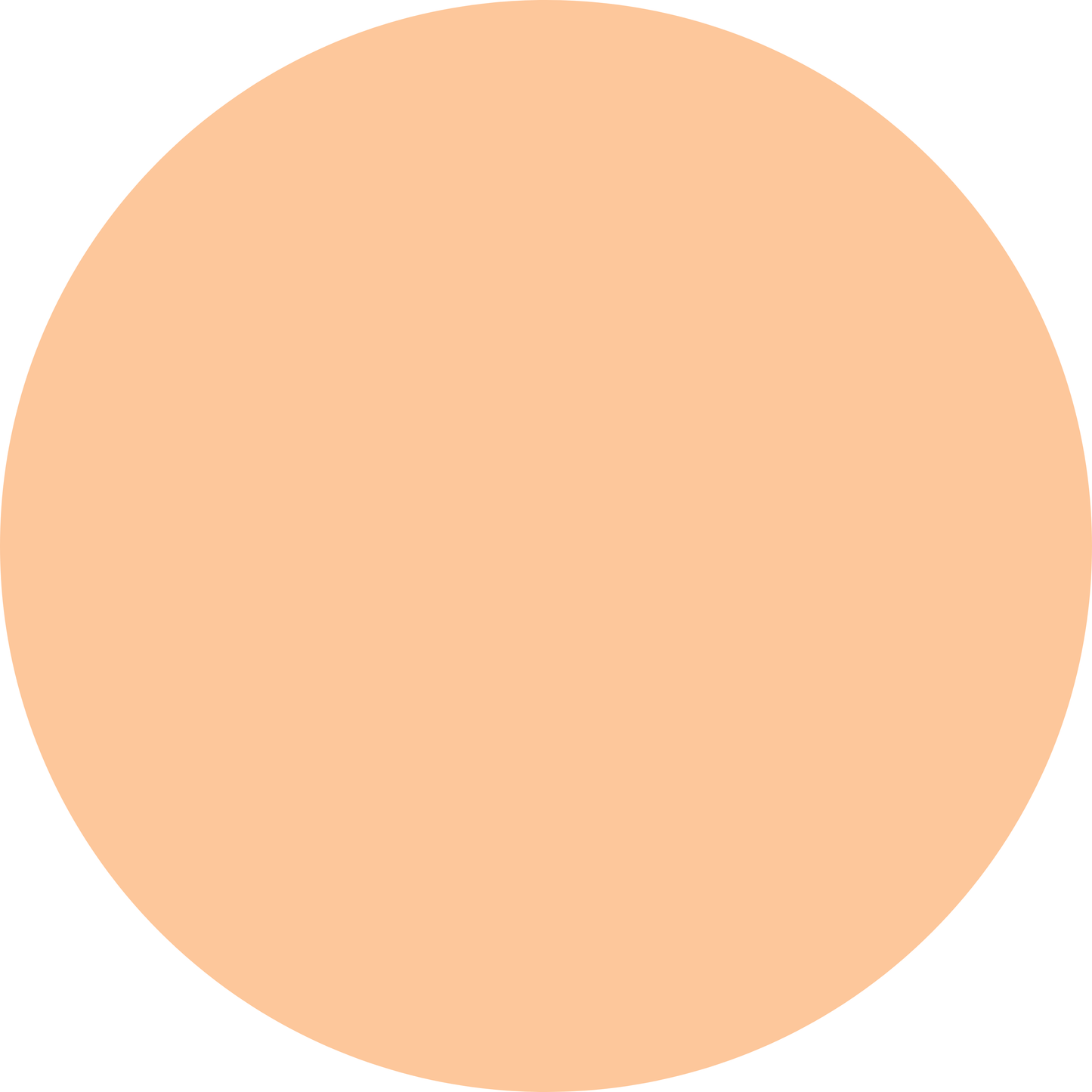 Summer Oranges - Andrew’s Swim Trunks - Boy