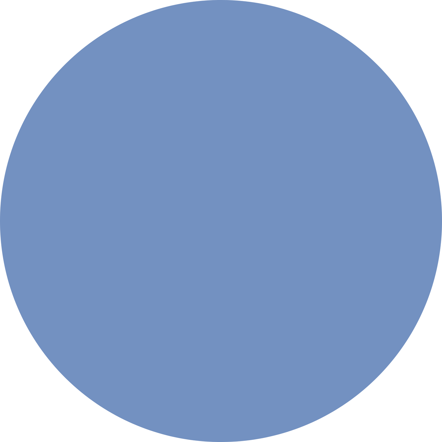 Blueberry Sweet - Sarah’s Smocked Bubble