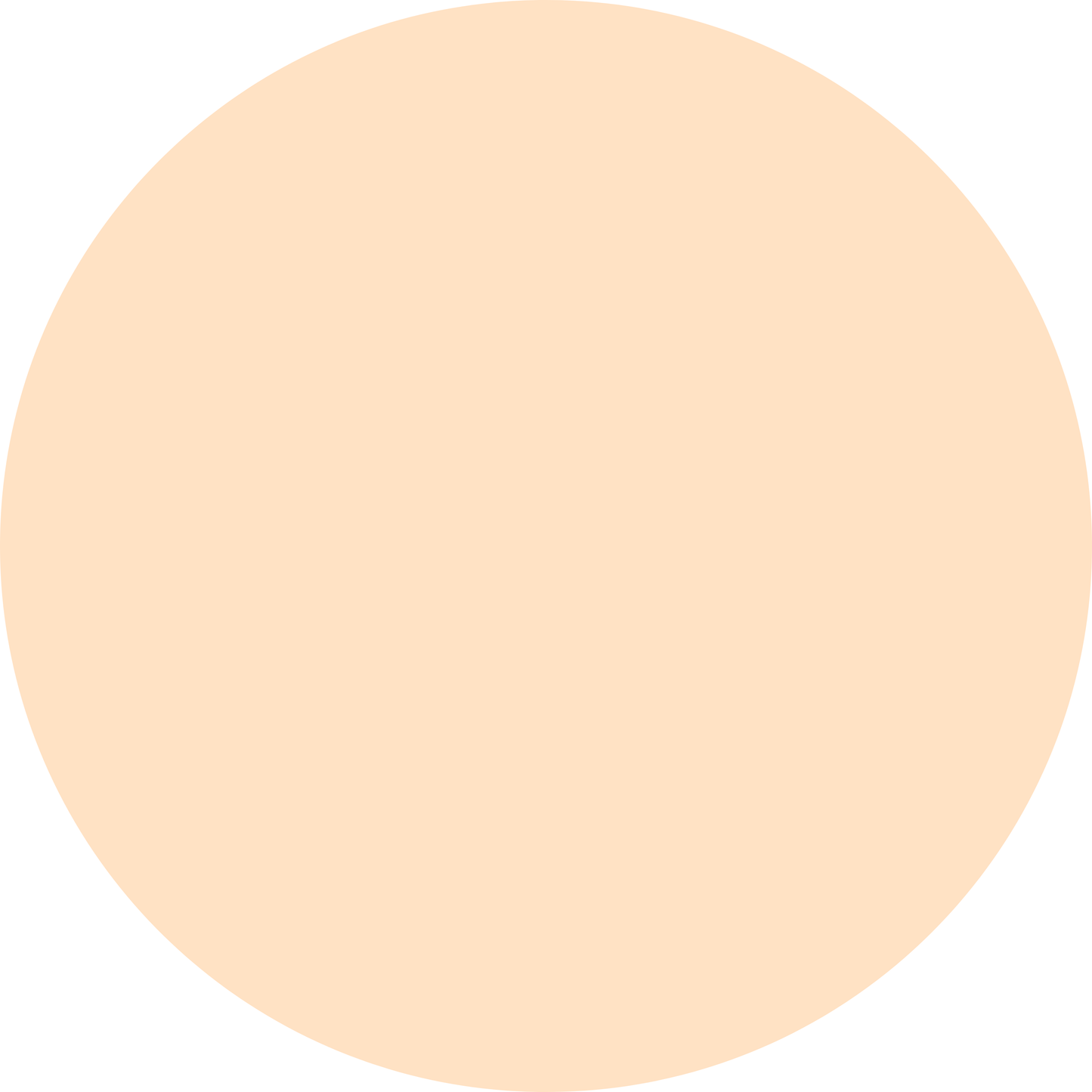 RTS - Proper Tee - Camp’s Cones Collection - Sherbert