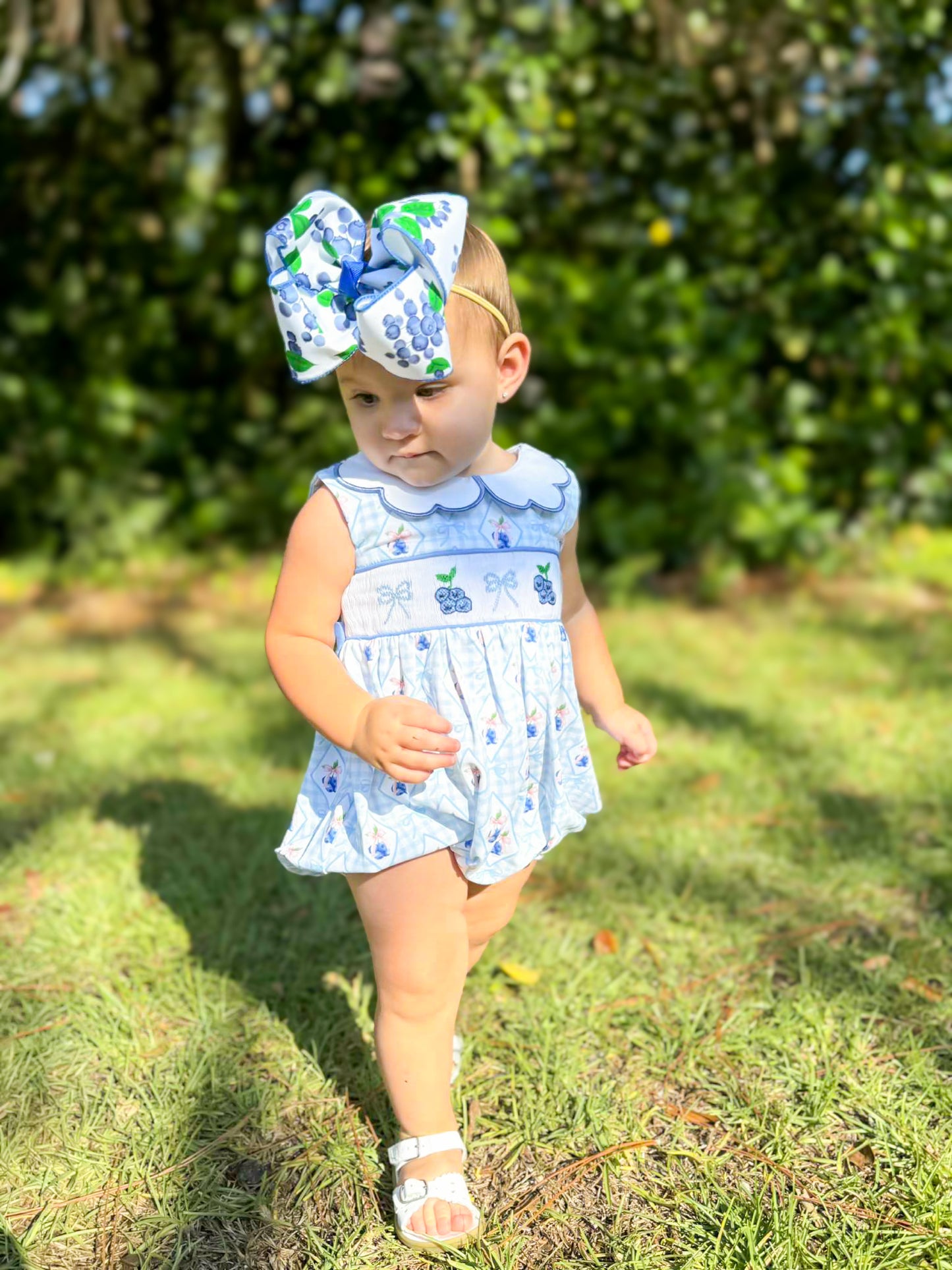 Blueberry Sweet - Sarah’s Smocked Bubble