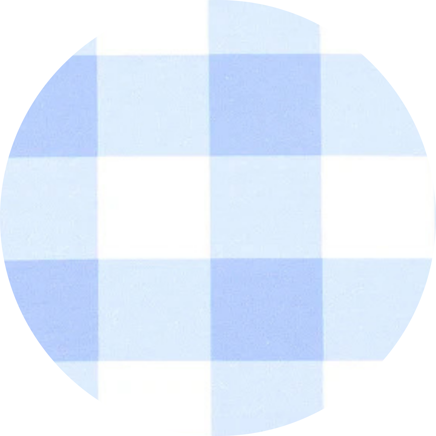 Grand Millennial Coquette Bows- Miller’s Bubble