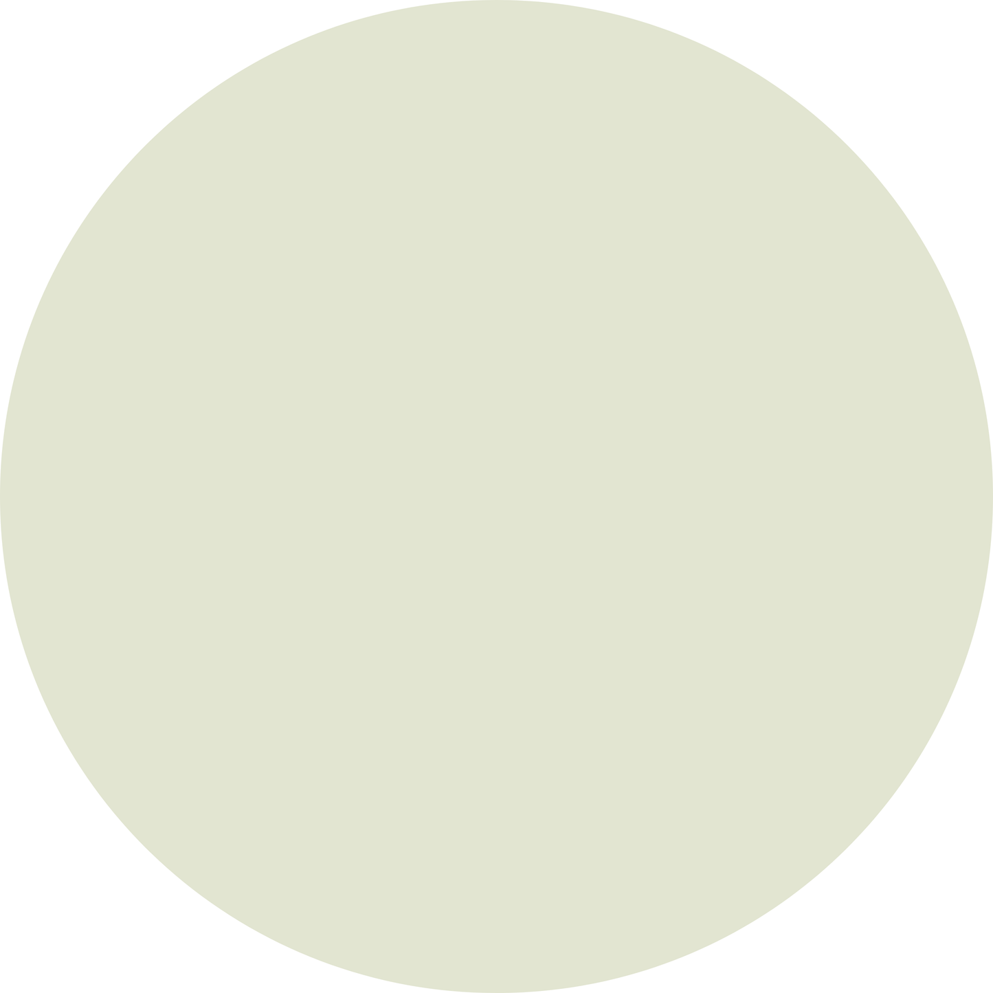 Clover and Blooms - Presley’s Embroidered Collar Pants Set