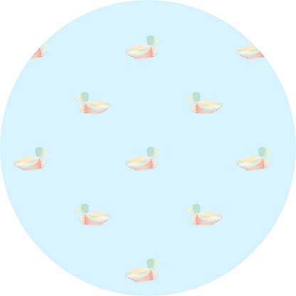 Mallard Meadows - Hayden’s Quarter Zip and Proper Joggers Set (Blue)