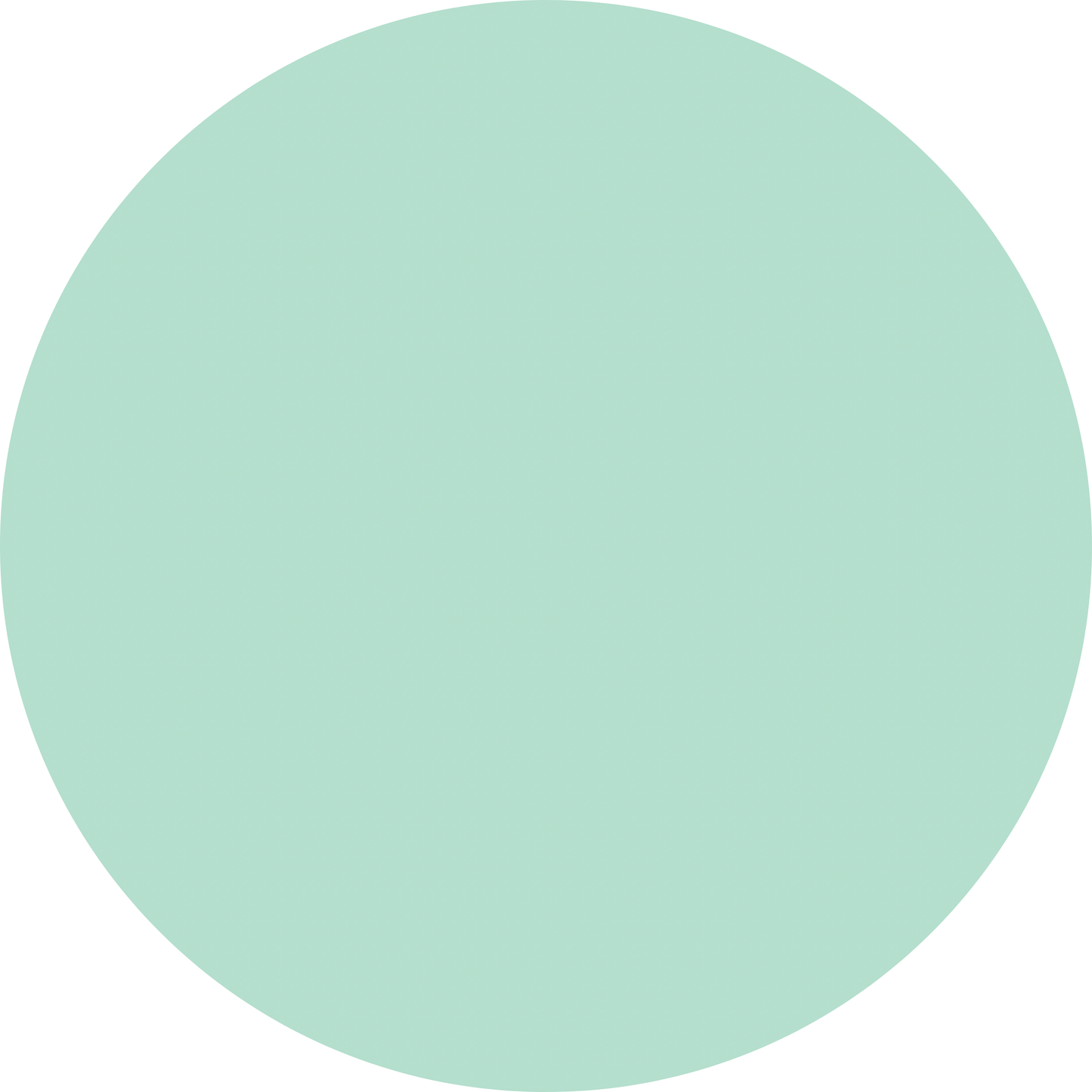 Snow Globes and Bows - Hayden’s Quarter-Zip