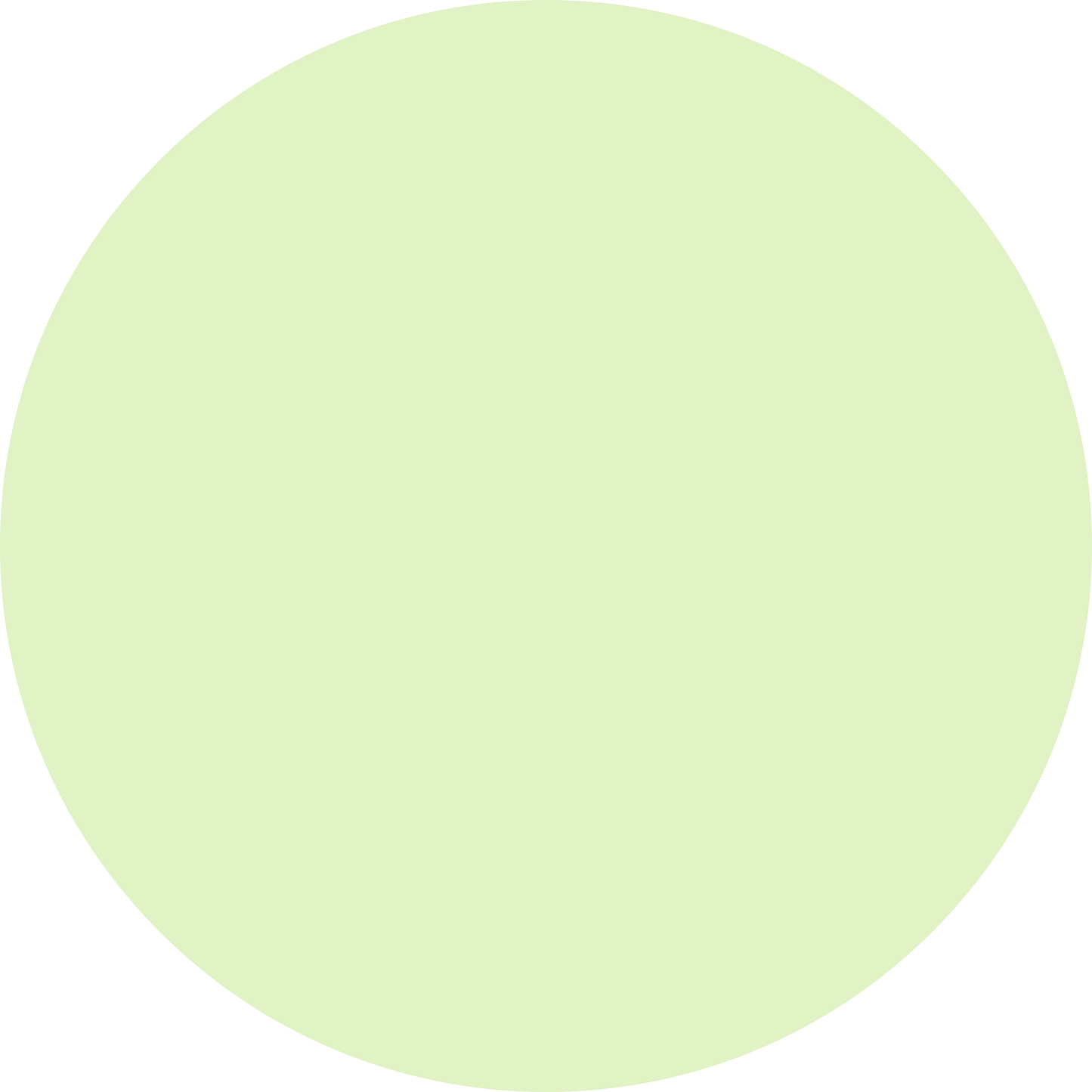 Butterfly Parlour - Saylor’s Pocket Tee Shorties Set