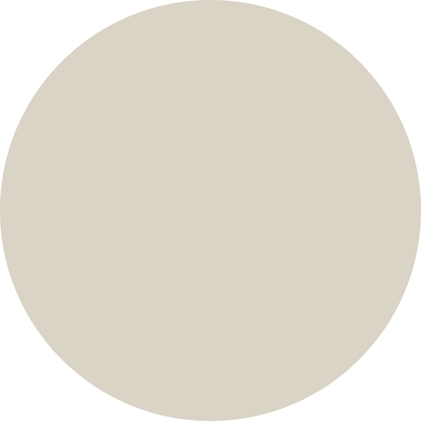 The Prep and Play Collection - Proper Camo