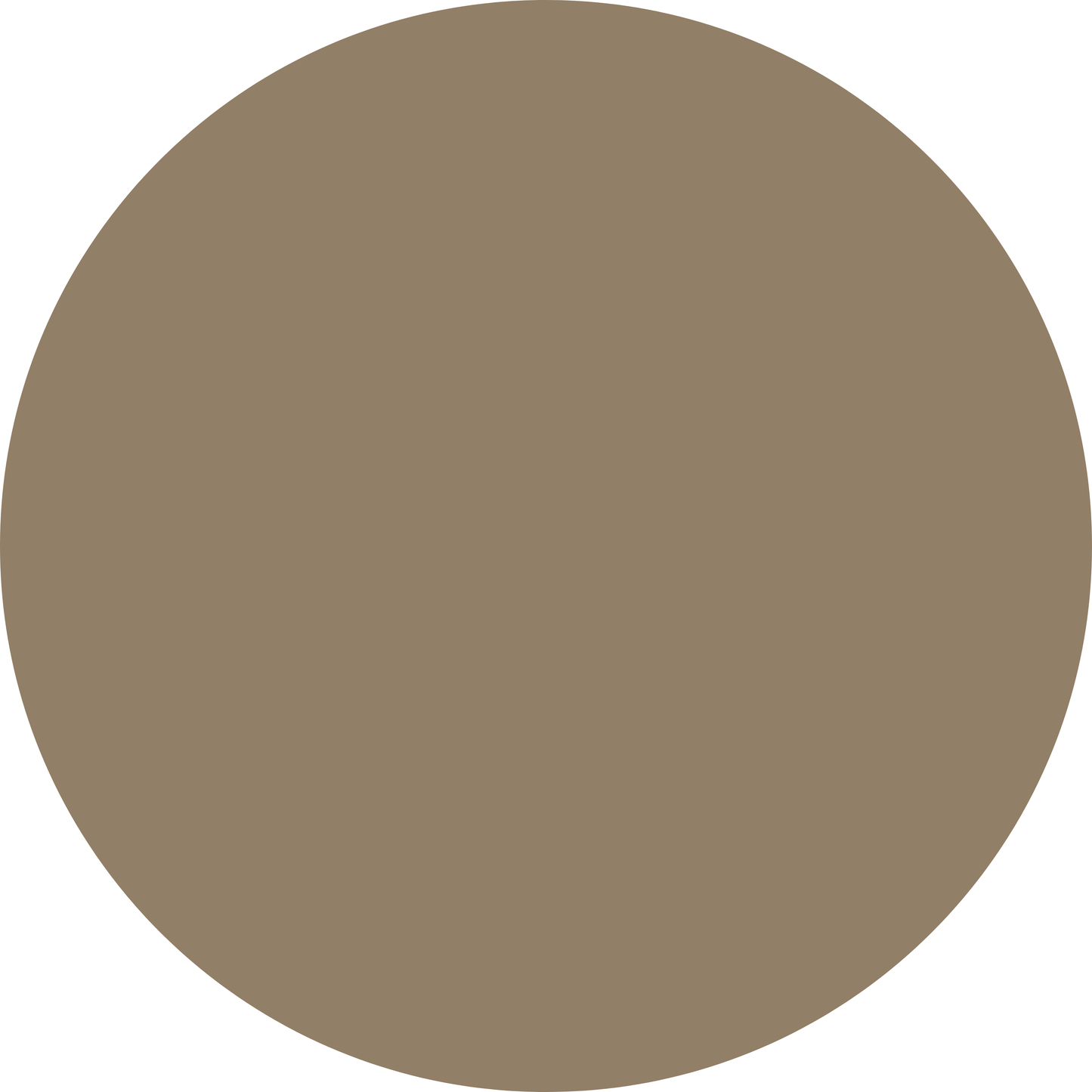 Winter Waterfowl - Presley’s Smocked Ruffle Leggings Set